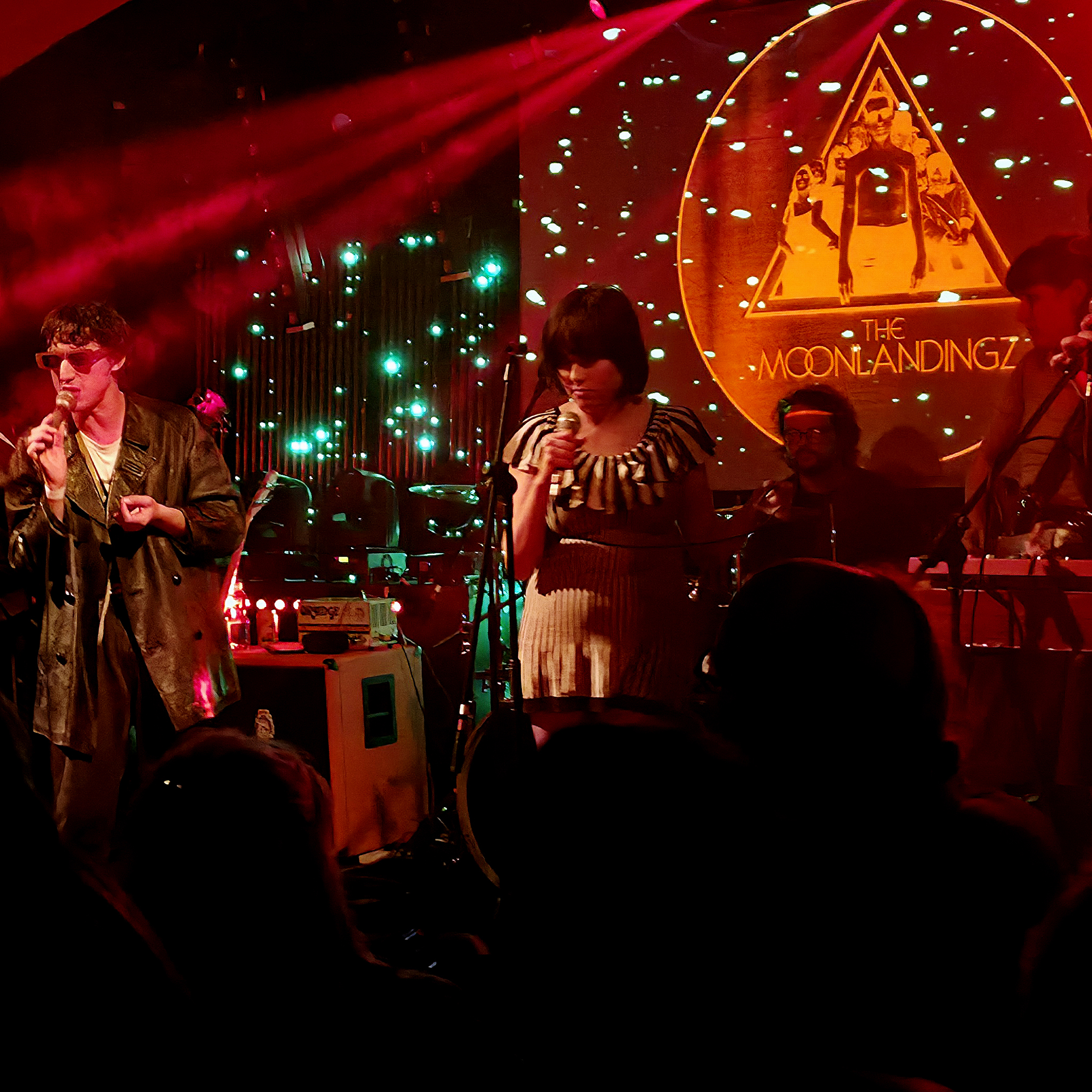 The Moonlandingz